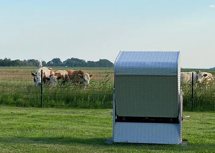 Apartment Haus Hugo *